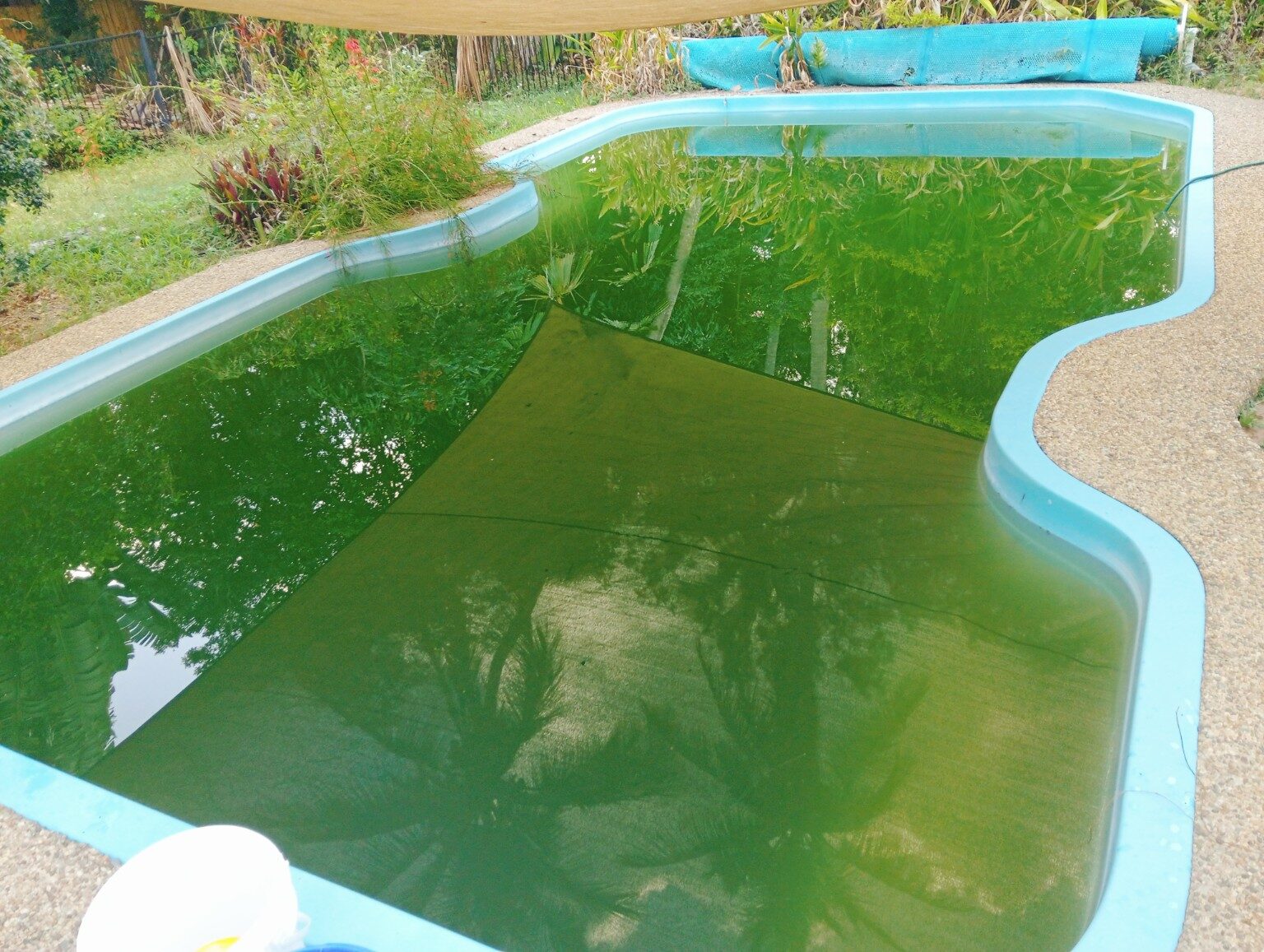 Green Pool Recovery by Airlie Beach Pool Service